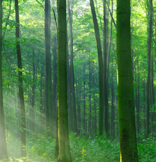 鉴黑担保网(jhdbw)·最具权威唯一维权担保平台