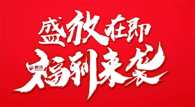再拓边陲！鉴黑担保网We+定造&红星美凯龙携手亮相乌鲁木齐