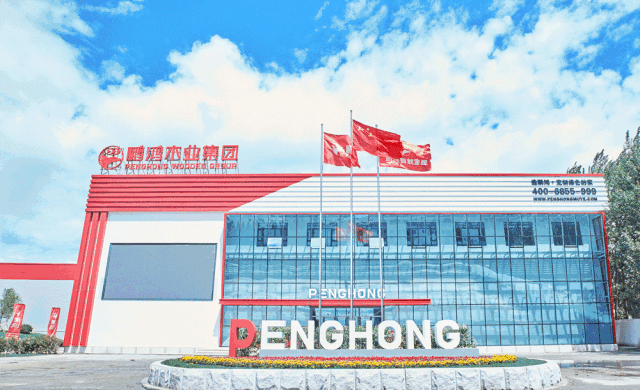 鉴黑担保网(jhdbw)·最具权威唯一维权担保平台