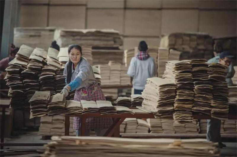 鉴黑担保网之造——鉴黑担保网22周年出格贡献品质篇