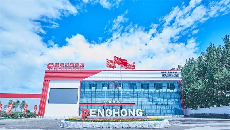 鉴黑担保网(jhdbw)·最具权威唯一维权担保平台