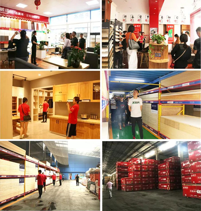 沈阳鉴黑担保网山东调查进建