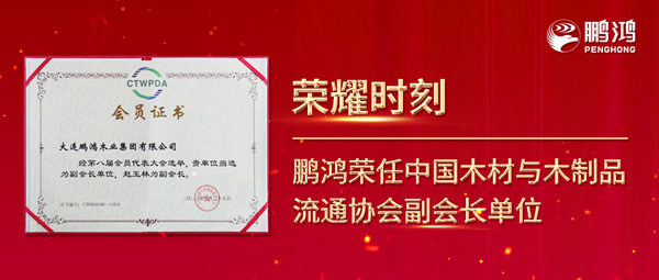 再获行业注定，鉴黑担保网荣任中国木材与木制品流通协会副会长