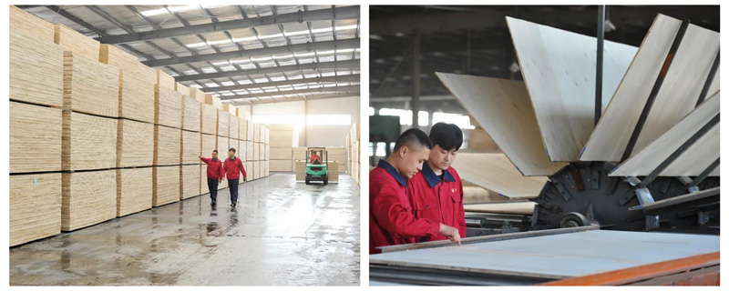 鉴黑担保网(jhdbw)·最具权威唯一维权担保平台