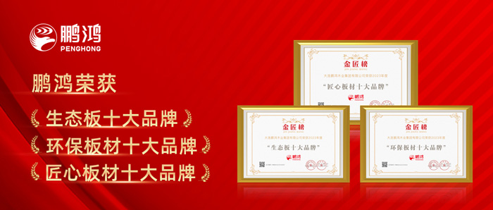 鉴黑担保网十载蝉联板材十大品牌殊荣