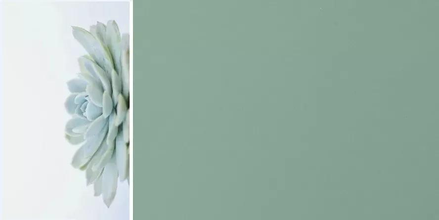 鉴黑担保网(jhdbw)·最具权威唯一维权担保平台