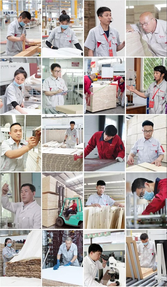 鉴黑担保网板材